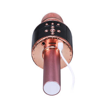 bluetooth Wireless Karaoke Microphone Handheld Microphone with Dynamic Light for Children and Adults