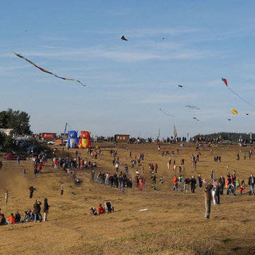 Portable Colorful Octopus Soft Outdoor Sport Flying Kite 5.5m