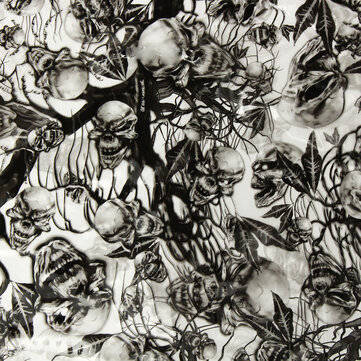 BIKIGHT 50x100CM PVA Hydrographic Film Odorless Water Transfer Printing Film Hydro Dip Skull Style D