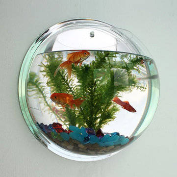 Acrylic Aquarium Fish Tank Wall Mounted Hanging Plant Pot Grow Vase Home Decor