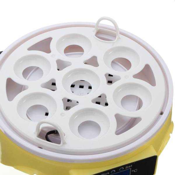 Automatic Eggs Incubator Mini Incubation Equipment 7 Eggs Household Teaching Experiments