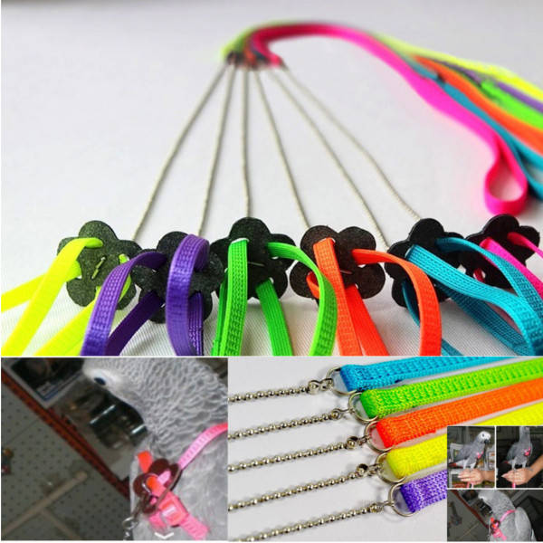 Parrot Anti-bite Random Harness