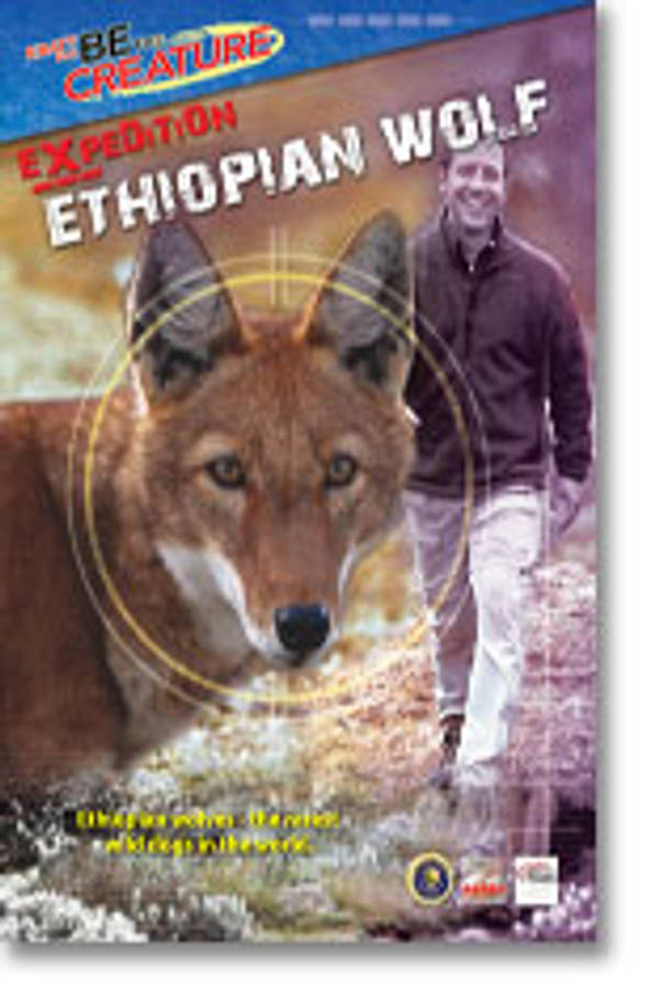 Ethiopian Wolf - Be The Creature - Expedition Ethiopian Wolf From National Geographic Channel ALL