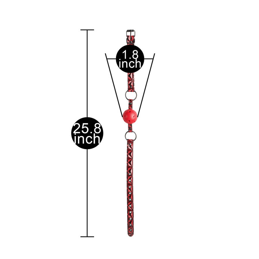 Ball Gag Accessory