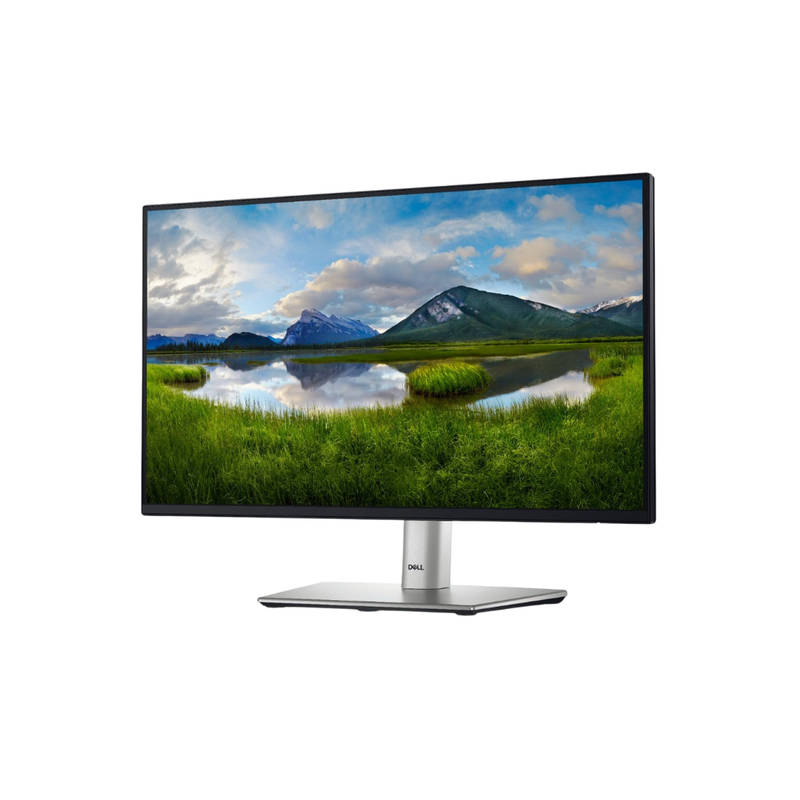 Dell P2219H 22" FHD LCD Borderless Widescreen Monitor
