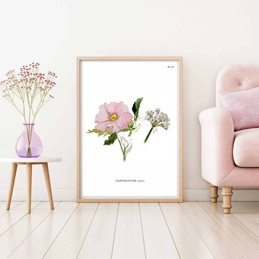 Flower Study Botanical Art Print by Mary Vaux Walcott