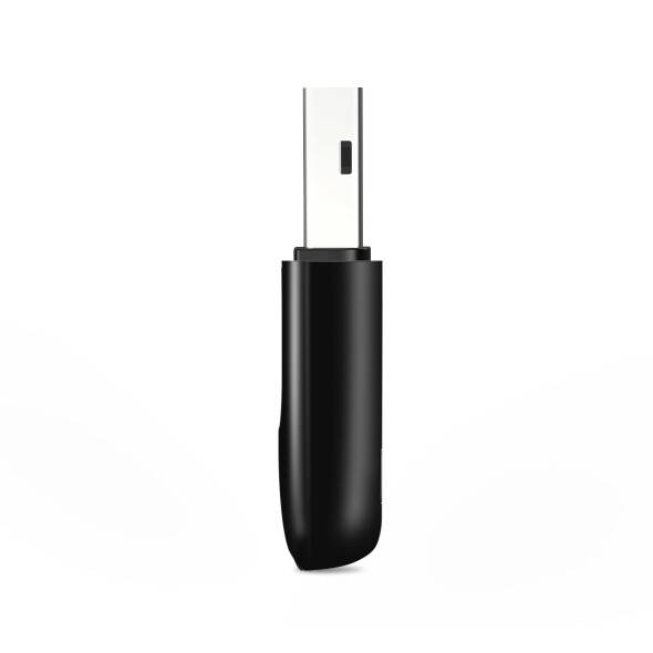 300Mbps Mini Wireless N USB Adapter
