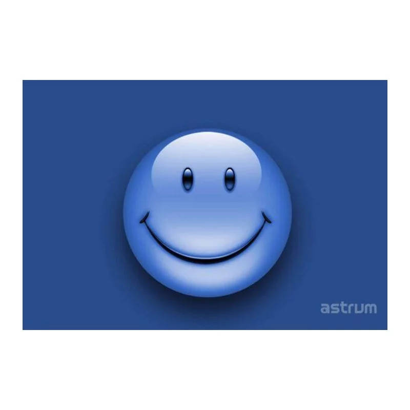 Astrum NB200 Notebook Sticker 15.6" 3D Smily
