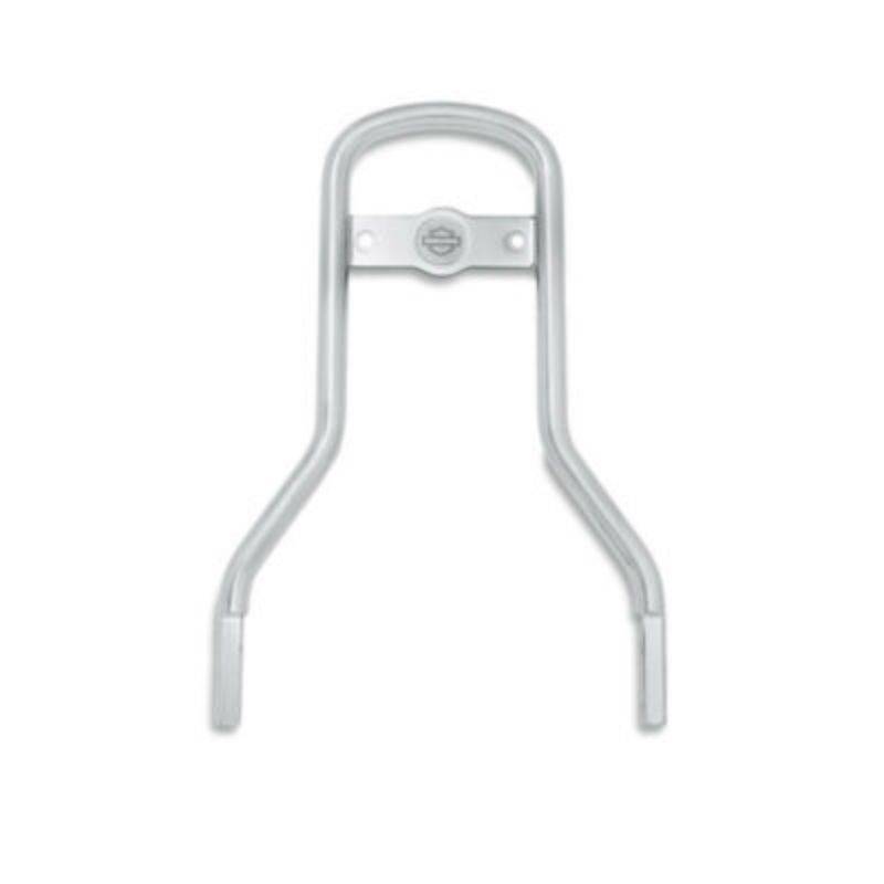 CVO Backrest Pad