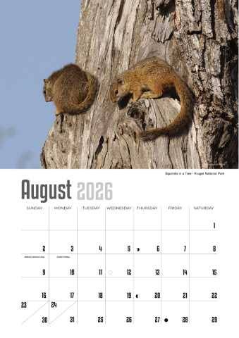 A4 Calendar  Wildlife Calendar 2026