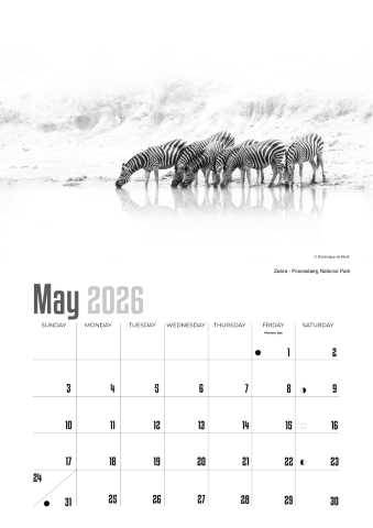 A4 Calendar  Wildlife Calendar 2026