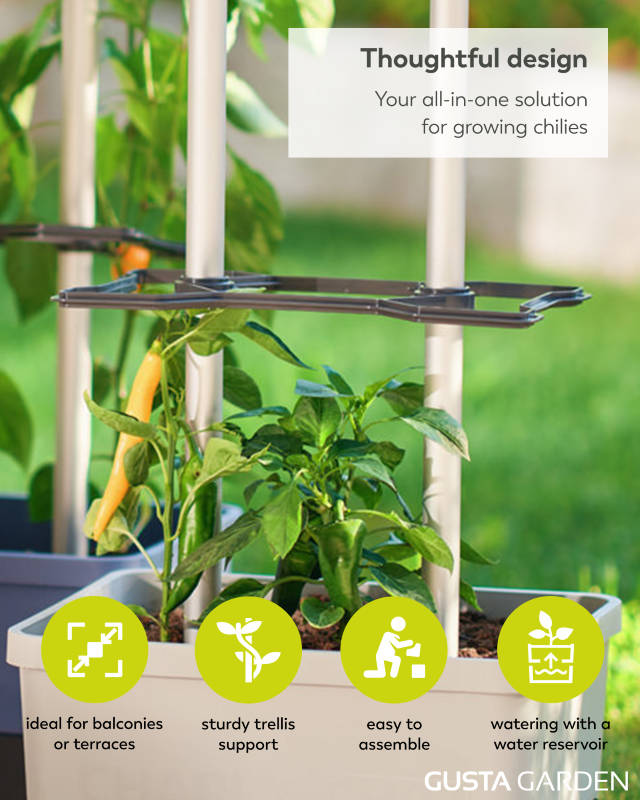 Gusta Charly Chilli Extra Large Grey Planter