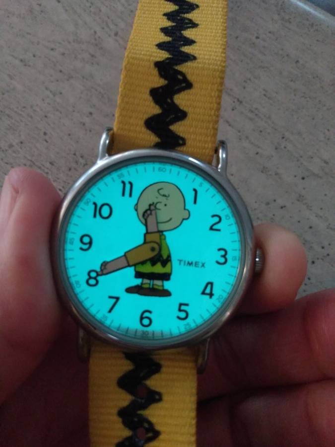 Timex x Peanuts Charlie Brown Weekender (TW2R41100) 38mm