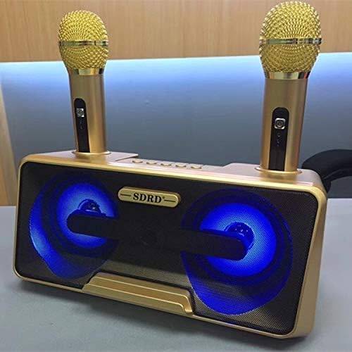 SDRD SD-301 2 in 1 Family KTV Portable Wireless Live Dual Microphone + Bluetooth Speaker