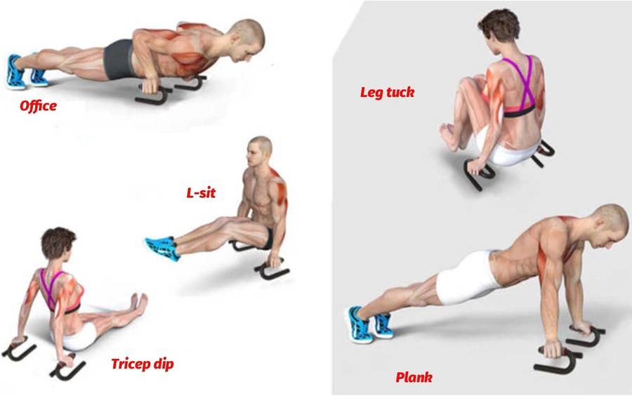 Iron Core Athletics Push Up Bars, Strong Steel Push Up Stands Suitable for Any Pushup Training Prog