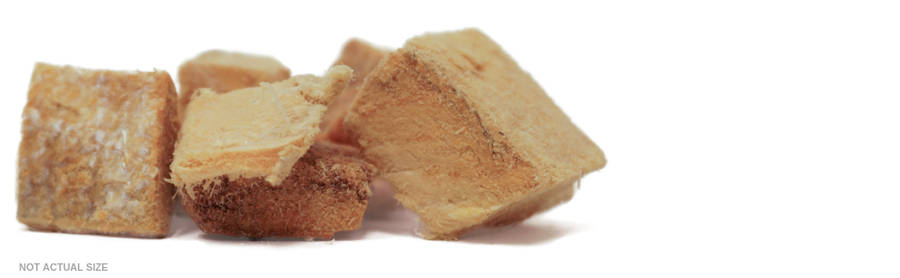salmon treats