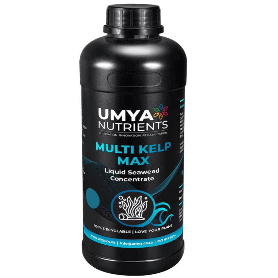Umya Multi Kelp 500ml