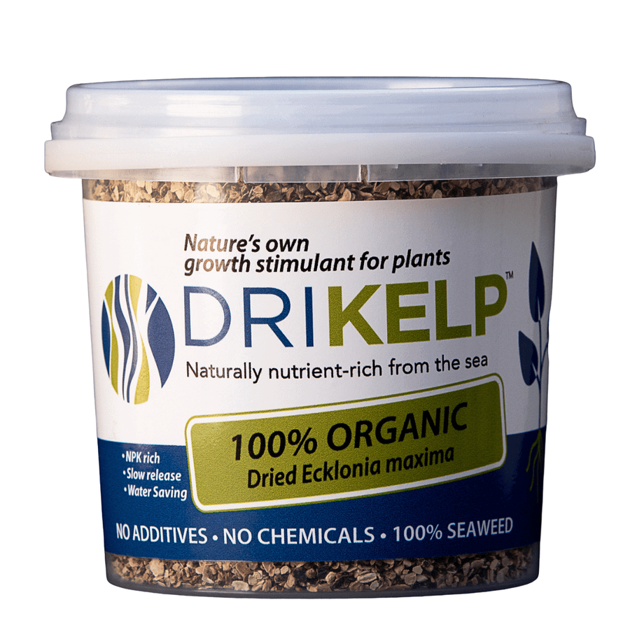DRIKELP® Dried Kelp