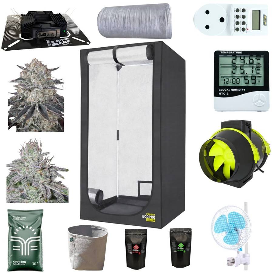 Beginner 4-Plant Indoor Grow System