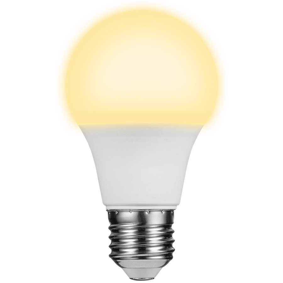 Switched 5w A60 Light Bulb E27 - Warm White