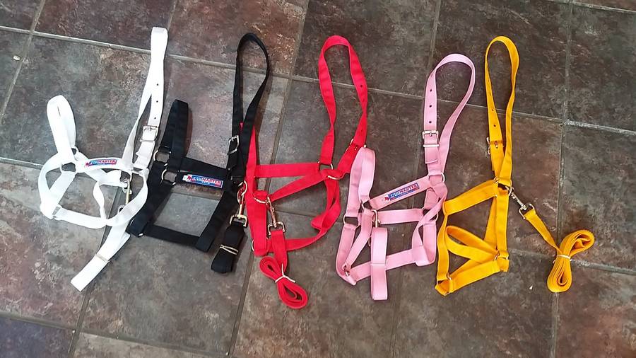 Equimaster Halter plain Large