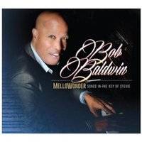 Mellowonder (Songs in the Key of Stevie) (CD)