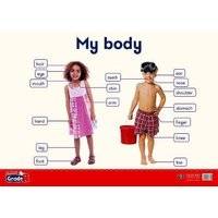 My body: Gr R: Poster 4 (Poster)