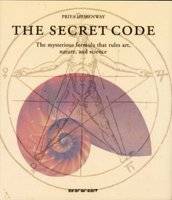 The Secret Code (Hardcover) picture