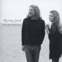 Raising Sand (CD) picture