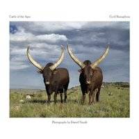 Cattle Of The Ages - Stories And Portraits Of The Ankole Cattle Of Southern Africa (Hardcover) picture