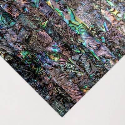 Abalone Natural Raw Shell Inlay Veneer (24 x 14cmm)(Paua Heart) picture