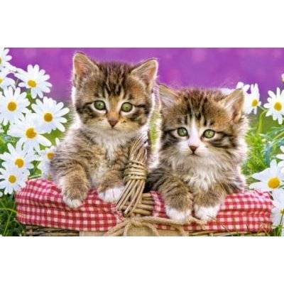 Castorland Kittens In Basket Puzzle (70 Pieces)
