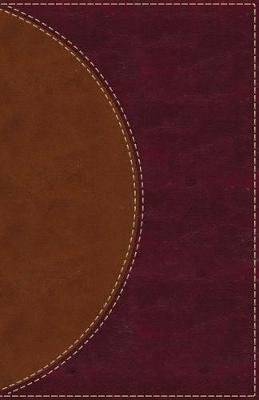 Amplified Reading Bible, Leathersoft, Brown, Indexed - A Paragraph-Style Amplified Bible for a Smoot