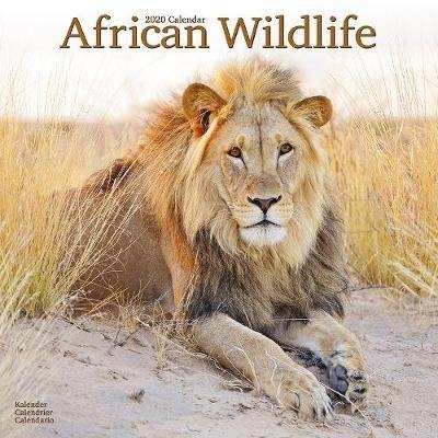 African Wildlife Calendar 2020 (Paperback)