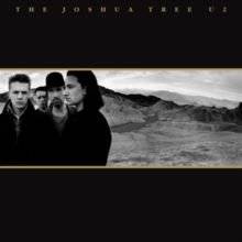 The Joshua Tree (30th Anniversary Edition) (Vinyl record)