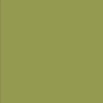 American Crafts Textured Cardstock - Olive (12x12)(10 Sheets)
