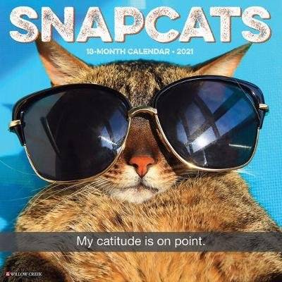 Snapcats 2021 Wall Calendar (Calendar)