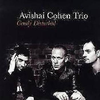 Gently Disturbed (Vinyl record) picture