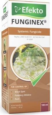 Efekto Funginex - Systemic Fungicide (100ml) picture