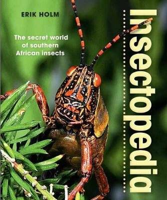 Insectopedia - The Secret World of Southern African Insects (Paperback, 2nd Revised Edition)