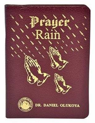Prayer Rain (Leather / fine binding, 12th edition) picture