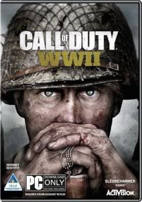 Call of Duty: World War II (Download Code) (PC) picture