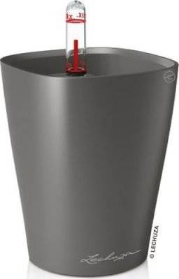 Lechuza Mini Deltini (Charcoal) - Charcoal