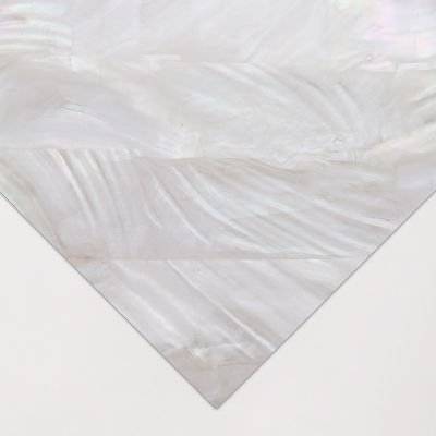 Abalone Natural Raw Shell Inlay Veneer (24 x 14cmm)(Pacific Oyster) picture