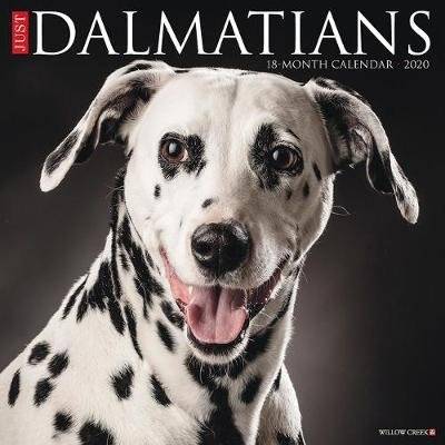 Just Dalmatians 2020 Wall Calendar (Dog Breed Calendar) (Calendar) picture