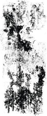 Texture Stamp Grunged Paint (13cmx5cm)