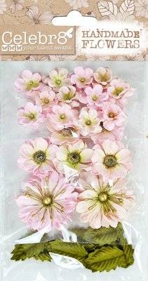 Celebr8 Flowers - Blush