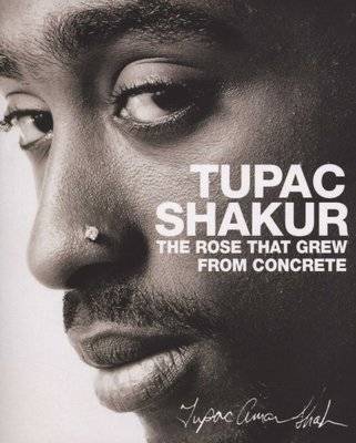 The Rose that Grew from Concrete (Paperback, New Ed)