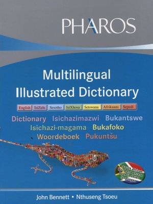Multilingual Illustrated Dictionary (English & Foreign language, Paperback)
