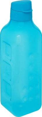 Lock & Lock Ice Bottle (1L | Blue)
